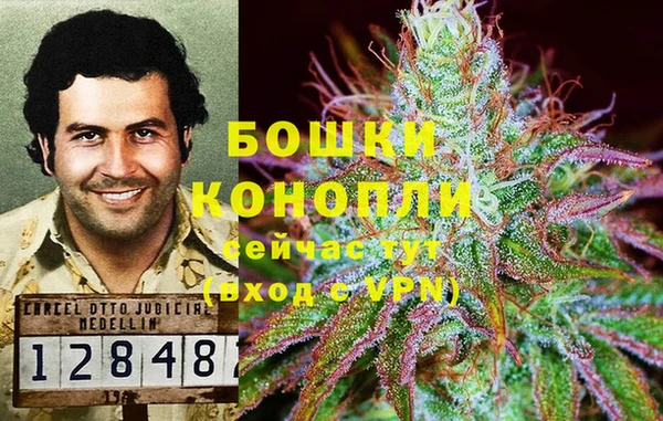 соль курить ск Михайловка