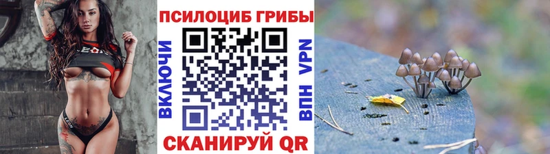 Галлюциногенные грибы GOLDEN TEACHER  закладка  Устюжна 